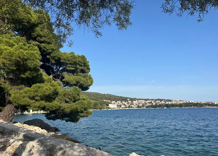 Smokva Trogir